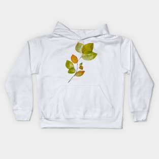 Beech leaves Kids Hoodie